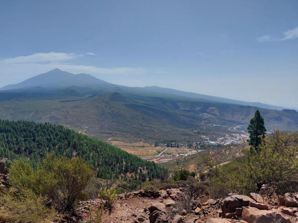 Vista Del Drago Villa Icod De Los Vinos Eksteriør billede